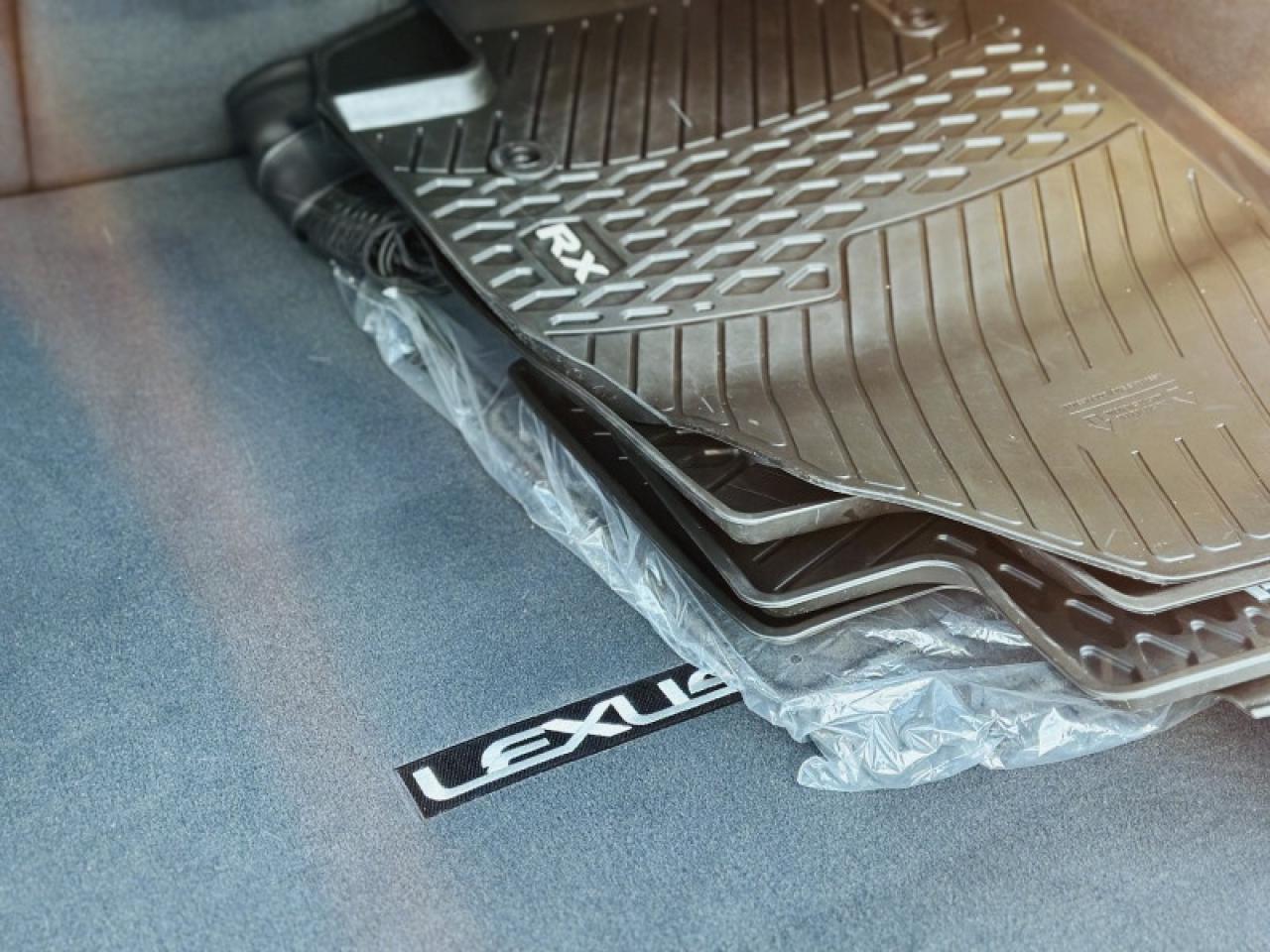 2023 Lexus RX 350 Photo