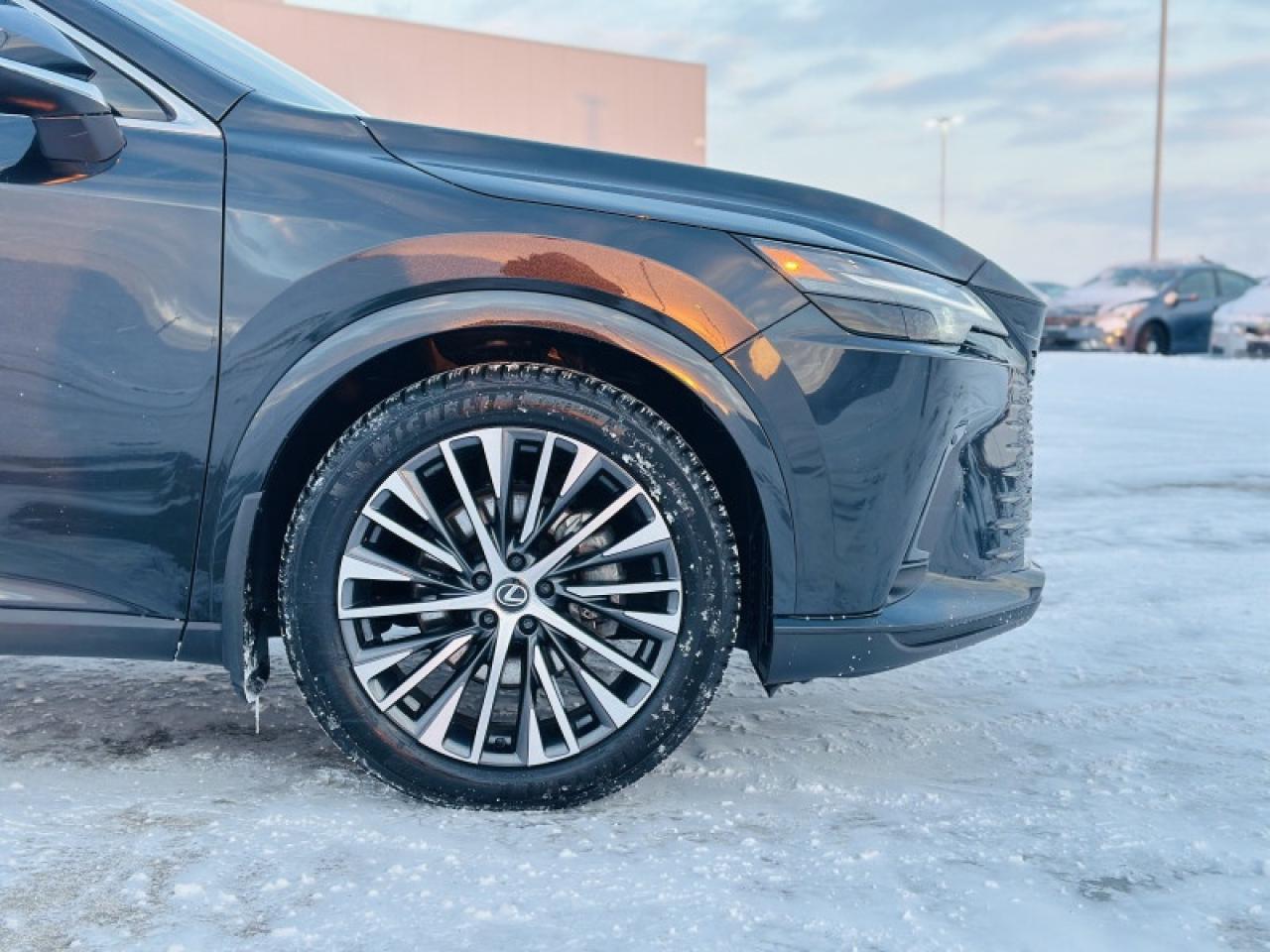 2023 Lexus RX 350 Photo