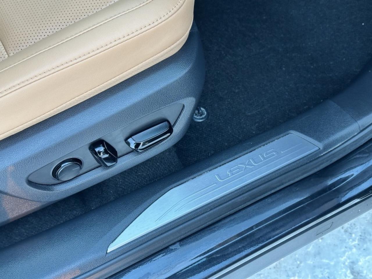 2023 Lexus RX 350 Photo