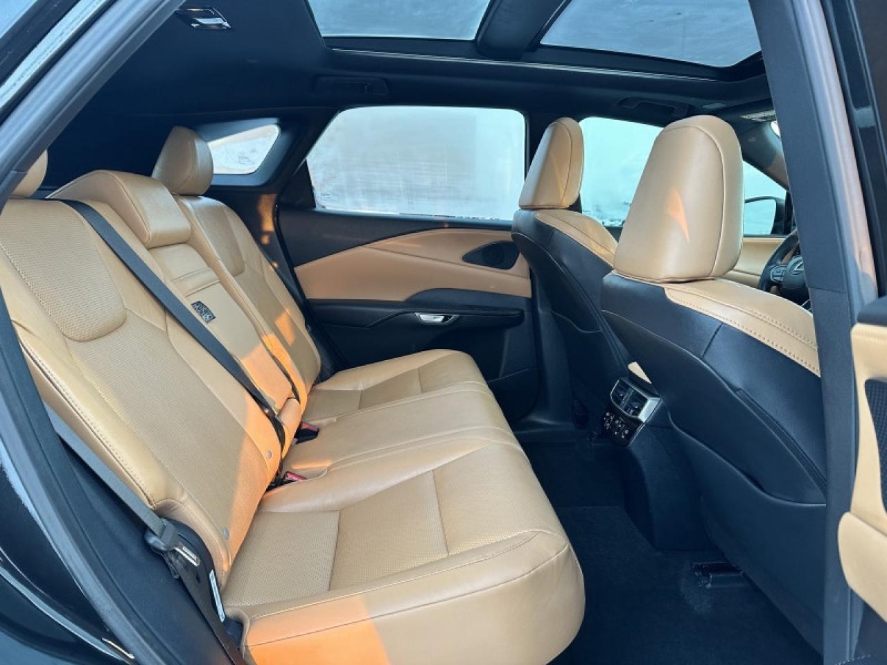 2023 Lexus RX 350 Photo