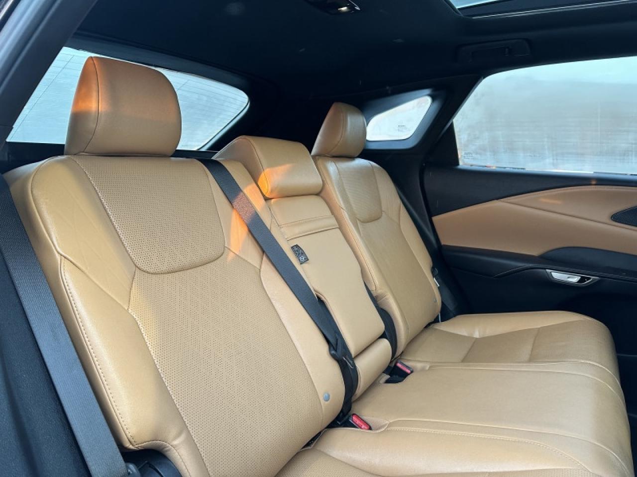 2023 Lexus RX 350 Photo