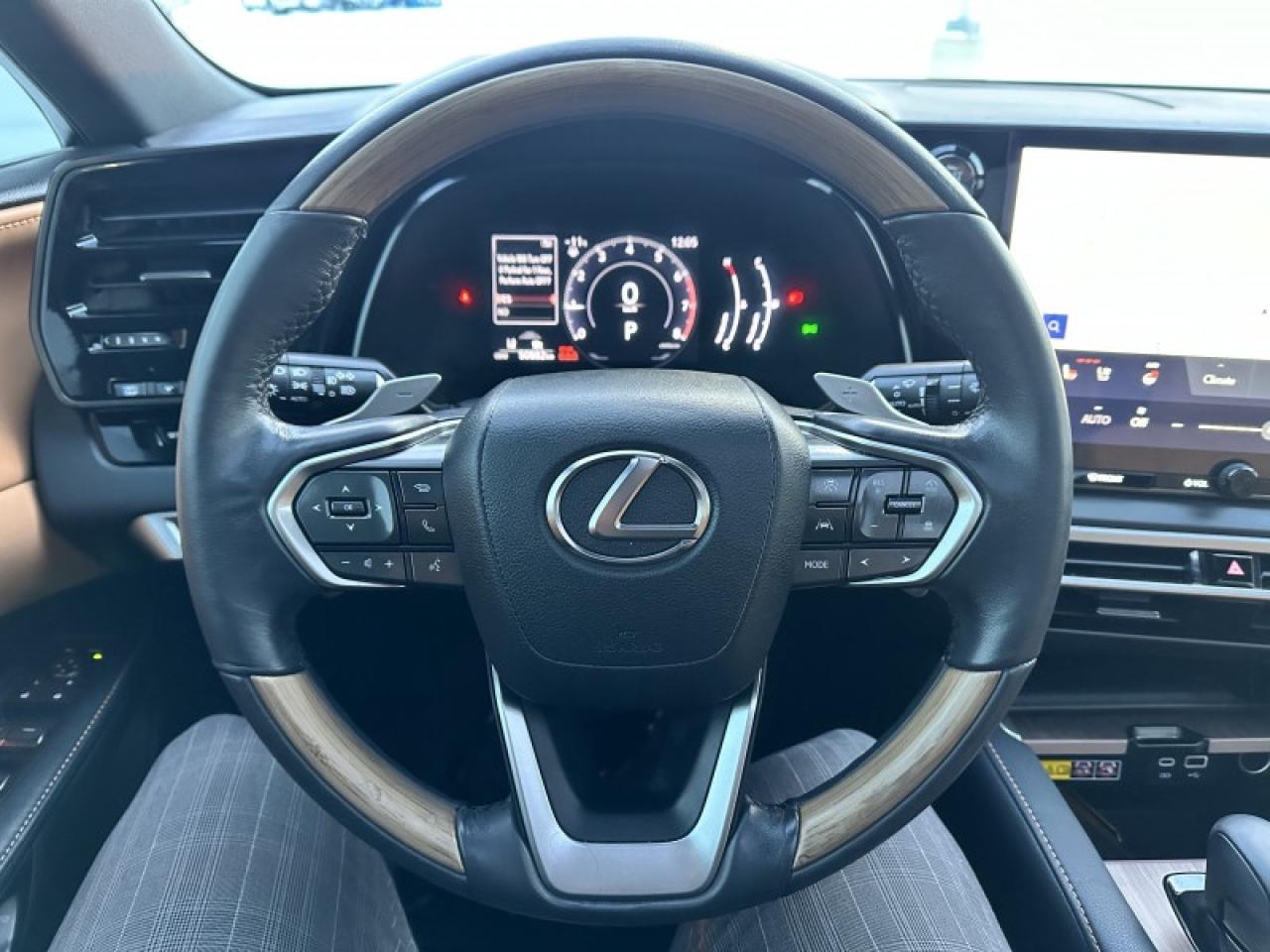 2023 Lexus RX 350 Photo