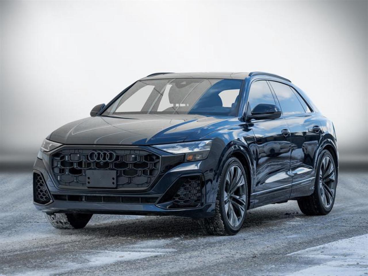 2025 Audi Q8 55 Technik 4dr All-Wheel Drive quattro Sport Utility Photo