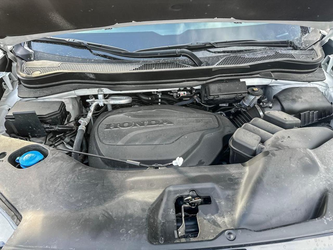 2025 Honda Ridgeline TrailSport Photo