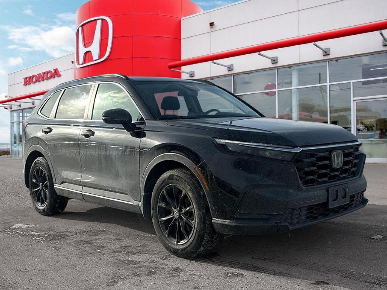 2025 Honda CR-V Sport Photo