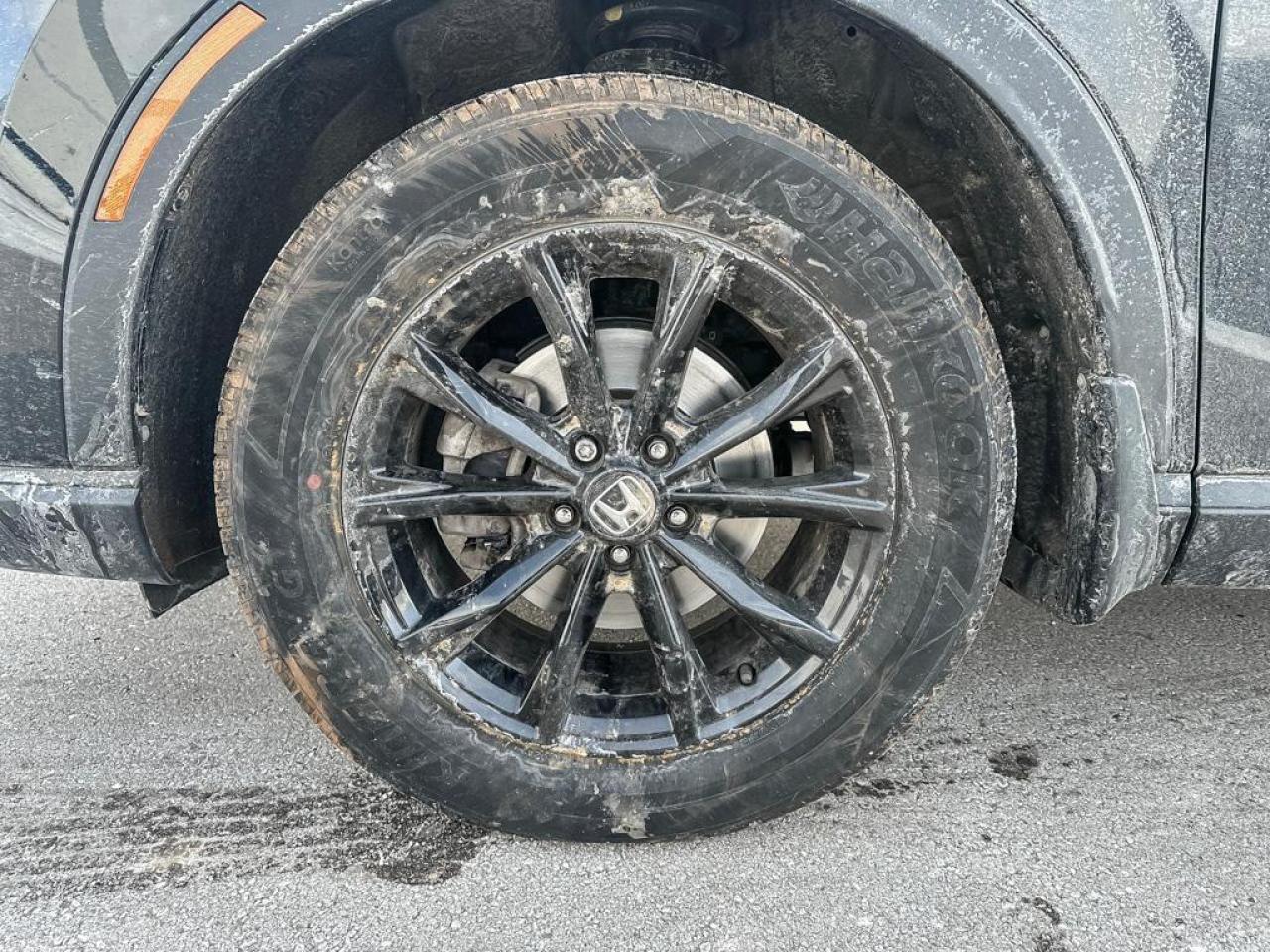 2025 Honda CR-V Sport Photo