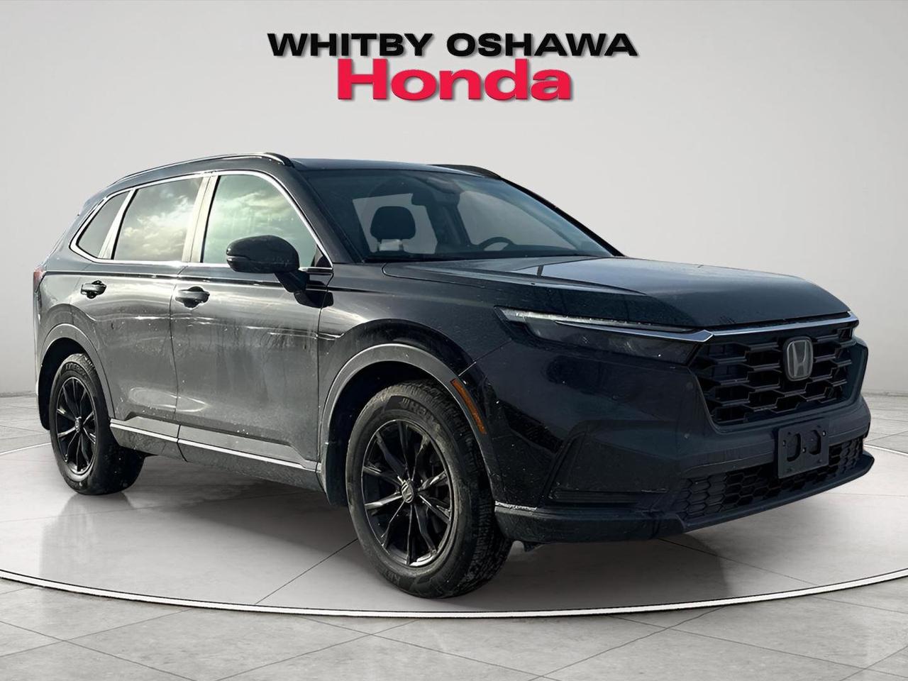 2025 Honda CR-V Sport Photo