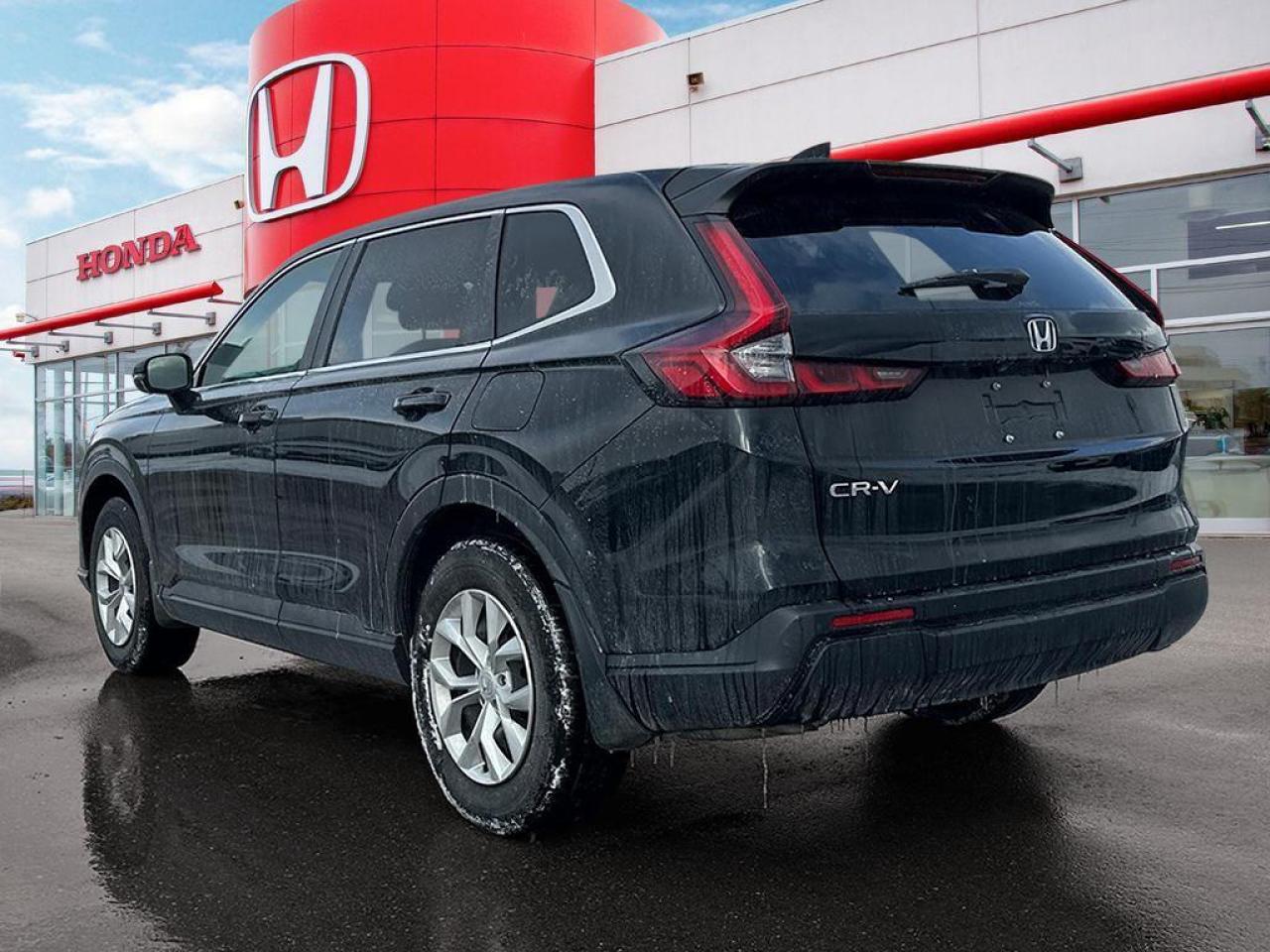 2024 Honda CR-V LX Photo