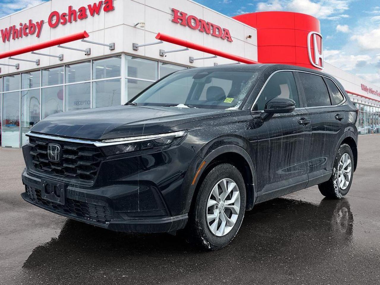 2024 Honda CR-V LX Photo