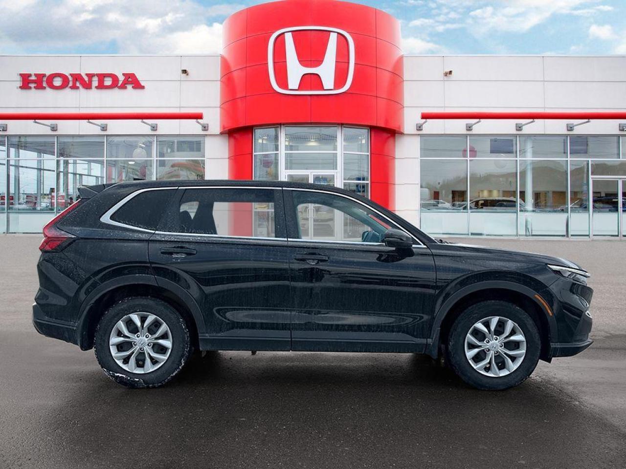 2024 Honda CR-V LX Photo