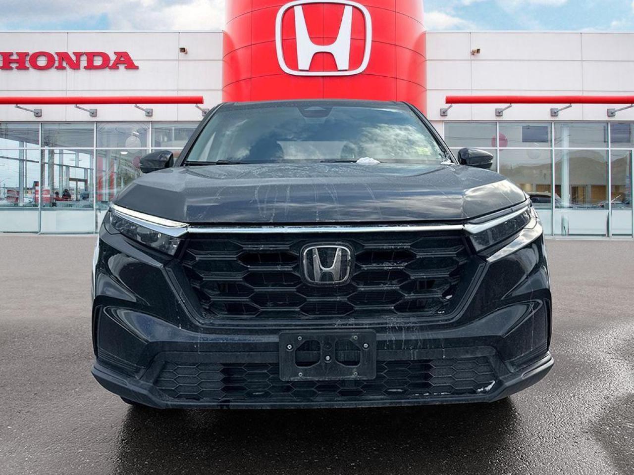 2024 Honda CR-V LX Photo