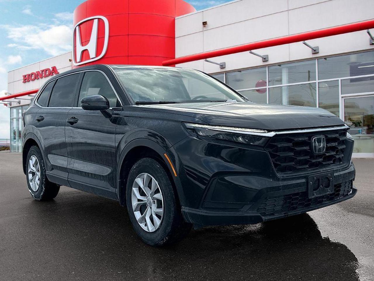 2024 Honda CR-V LX Photo