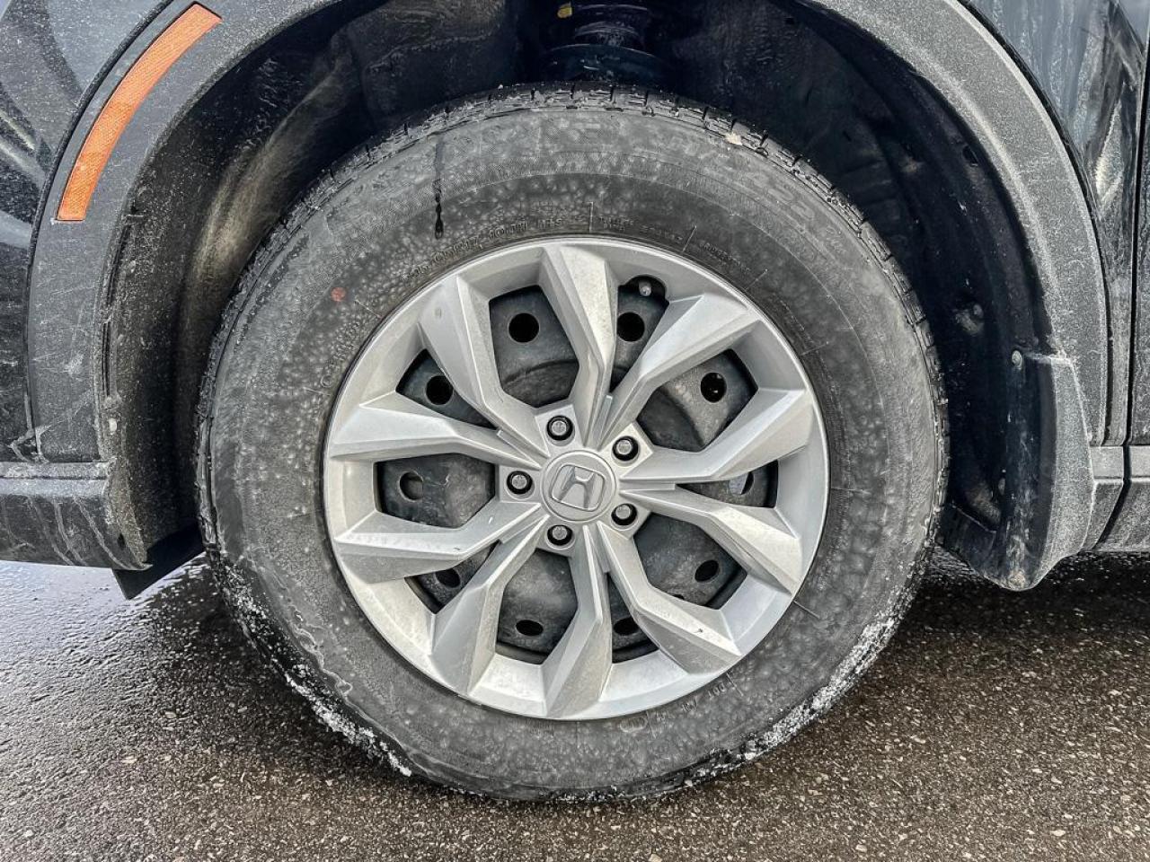 2024 Honda CR-V LX Photo