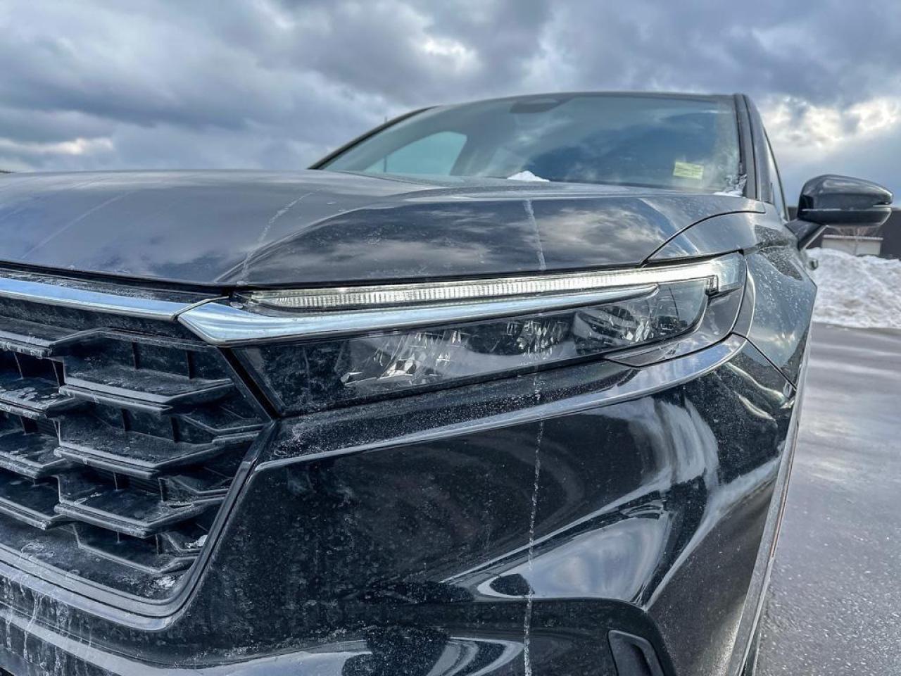 2024 Honda CR-V LX Photo