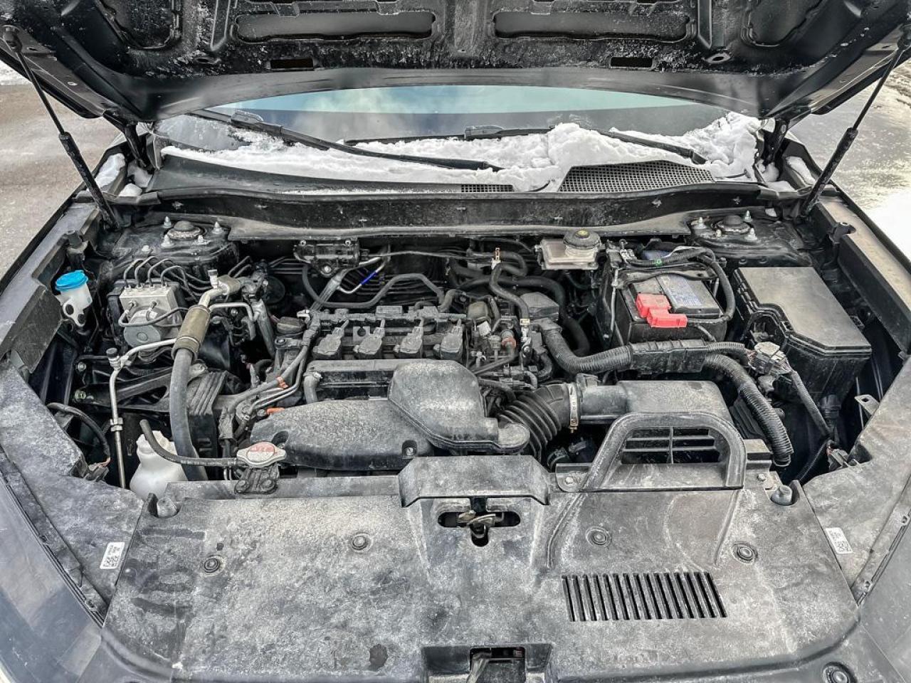 2024 Honda CR-V LX Photo