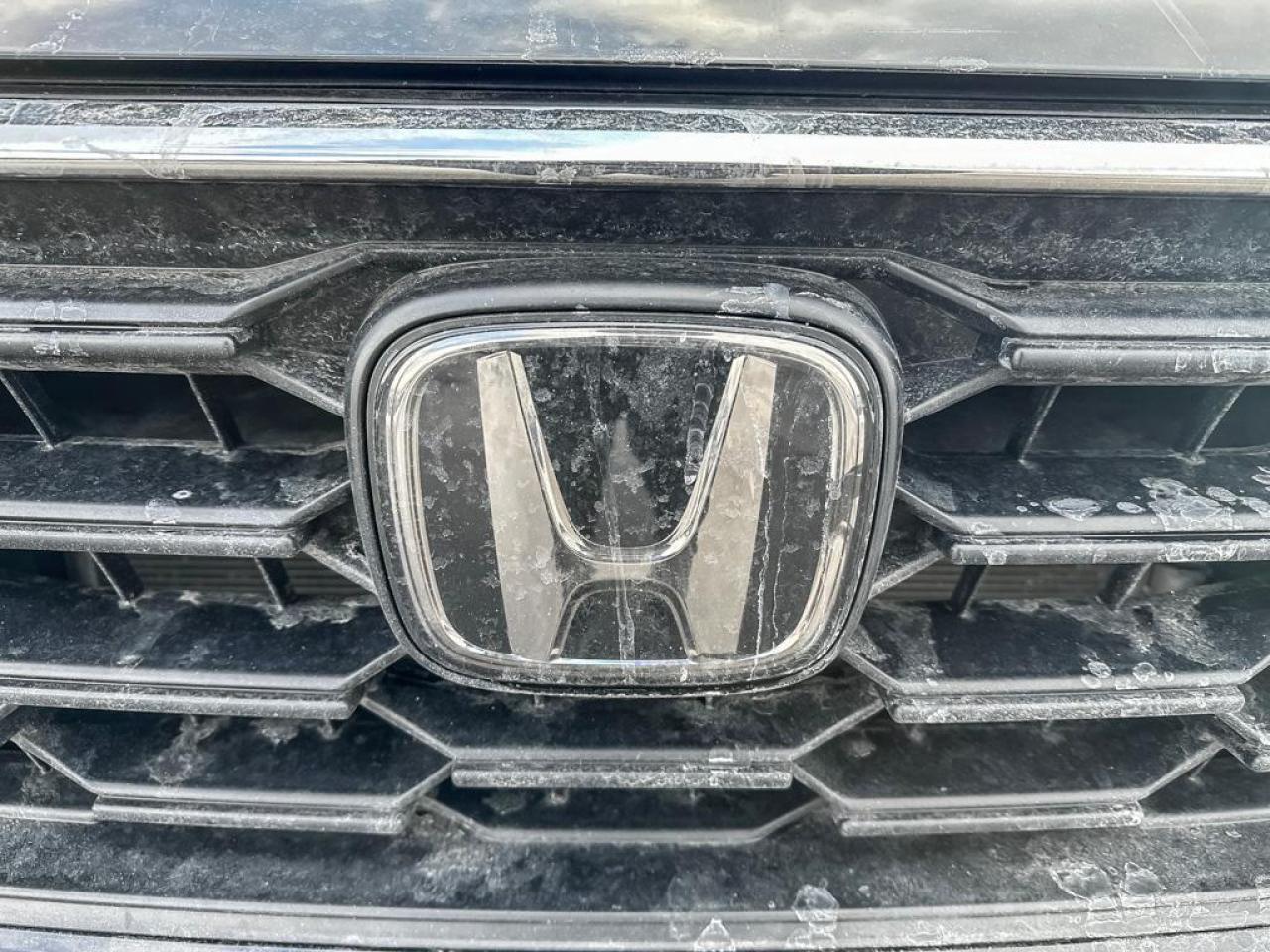 2024 Honda CR-V LX Photo