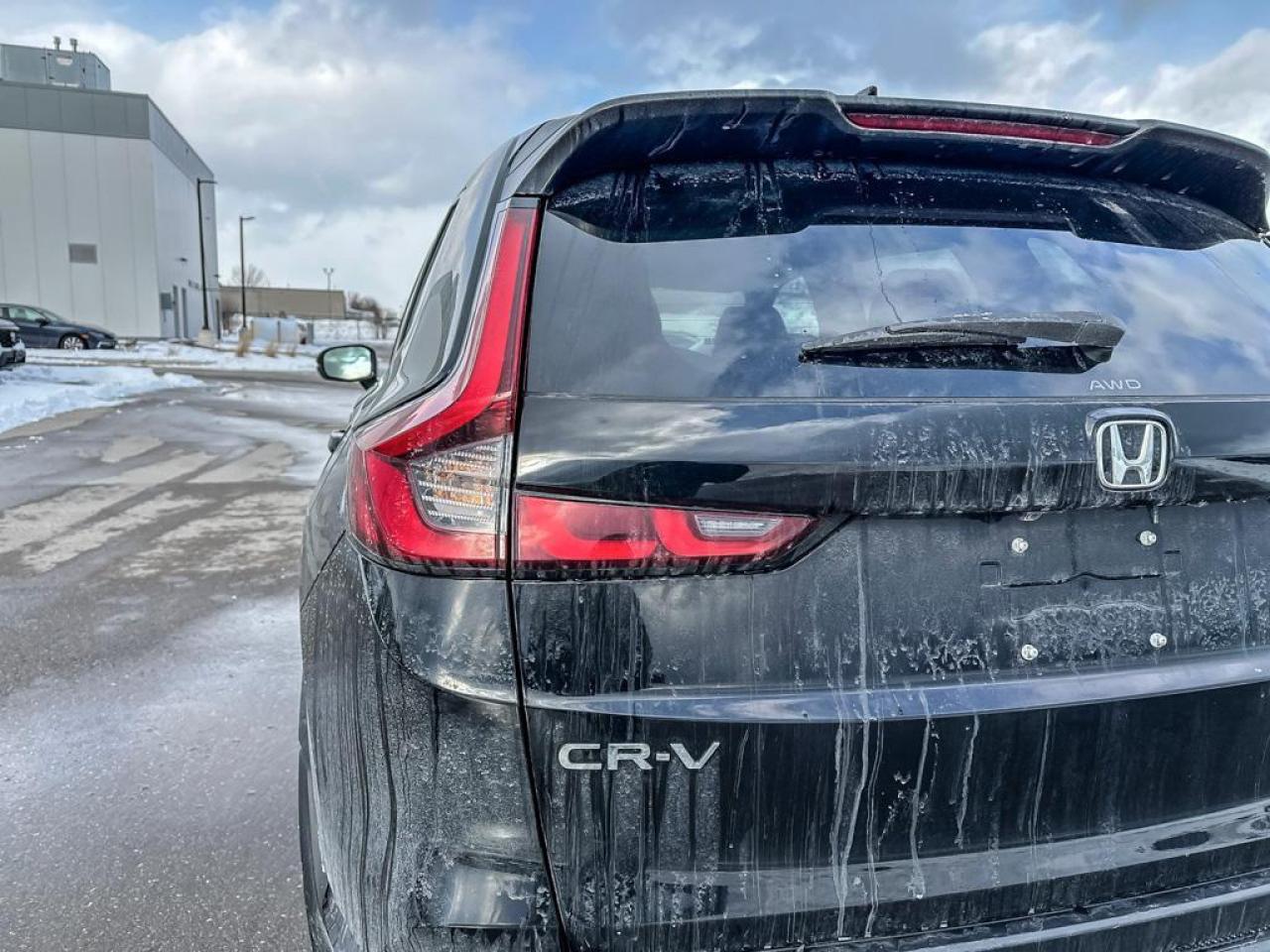 2024 Honda CR-V LX Photo