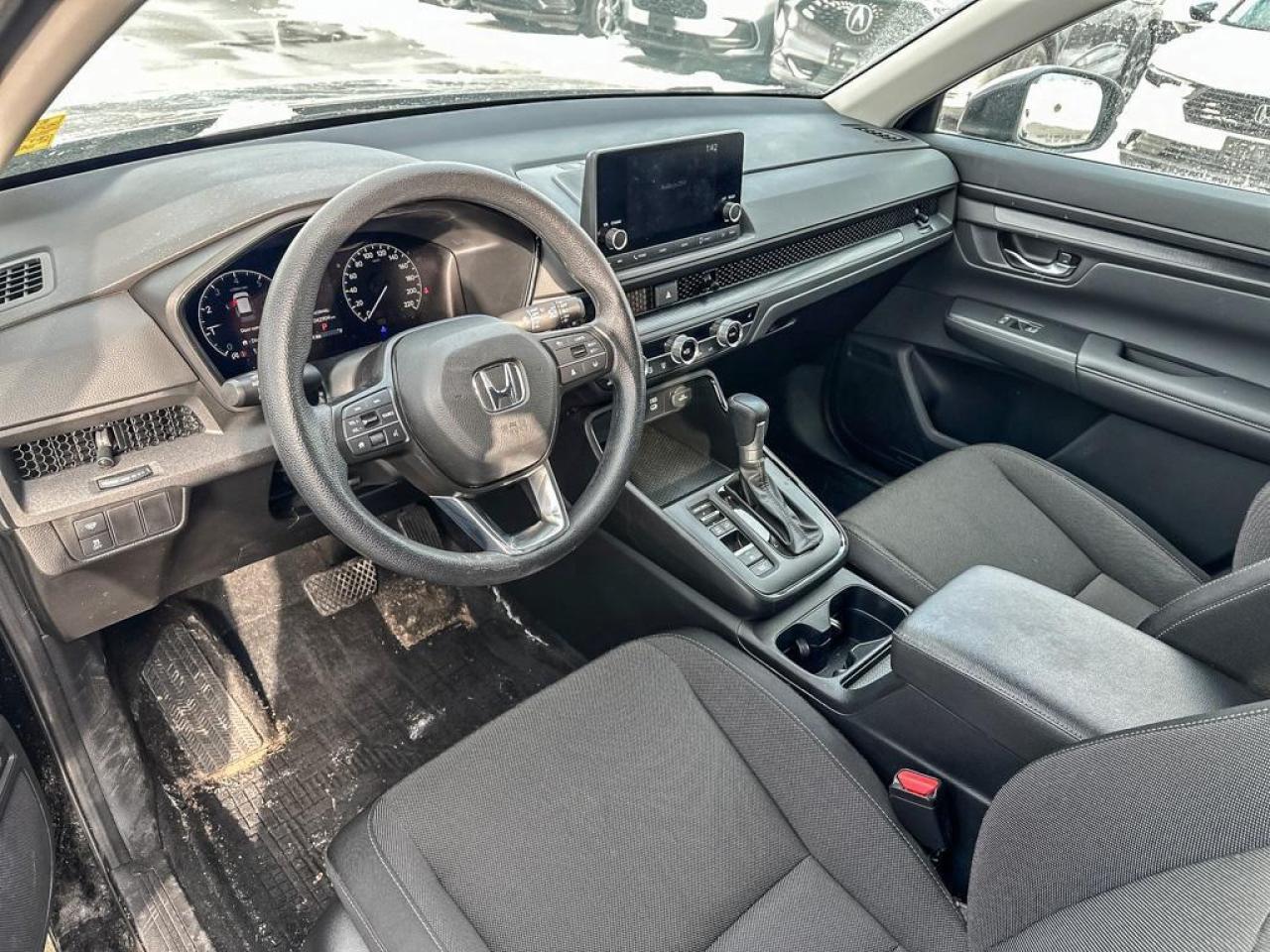 2024 Honda CR-V LX Photo