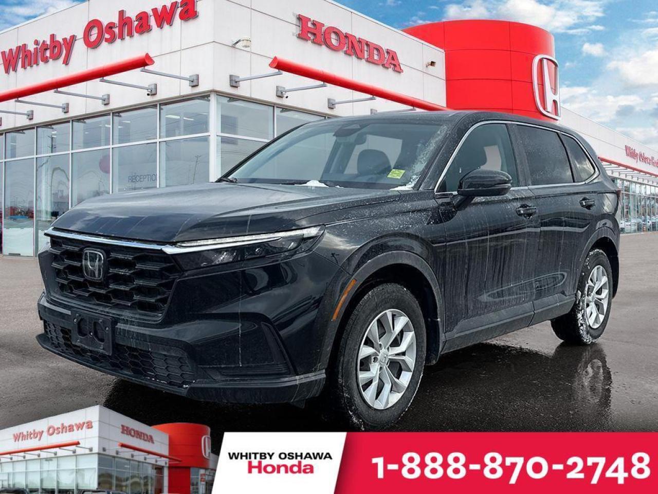 2024 Honda CR-V LX Photo