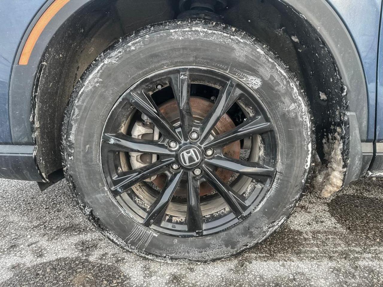 2025 Honda CR-V Hybrid EX-L Photo