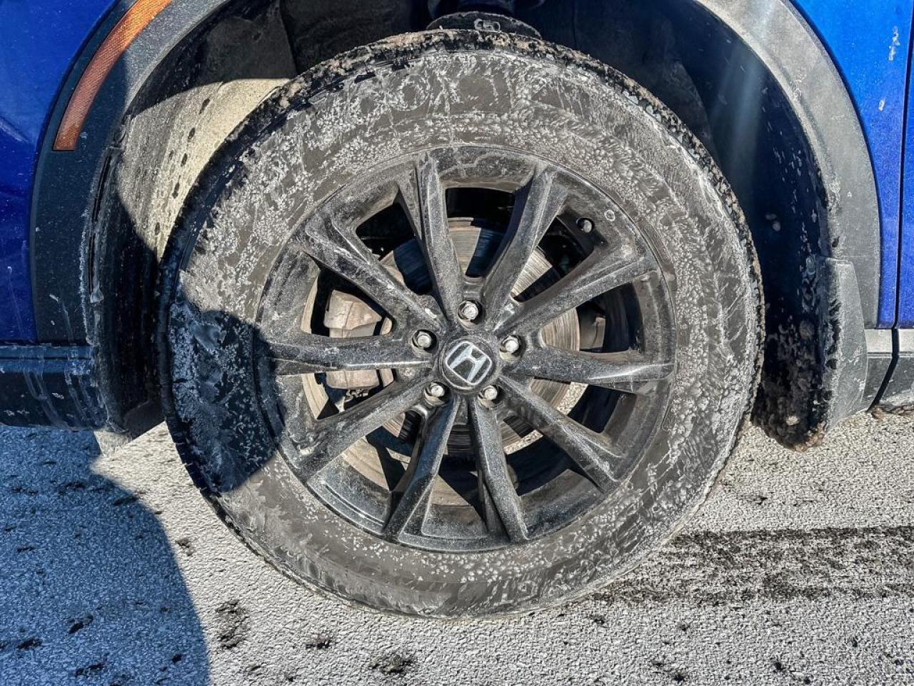 2024 Honda CR-V Sport Photo