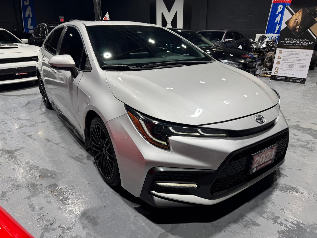 2021 Toyota Corolla SE Photo