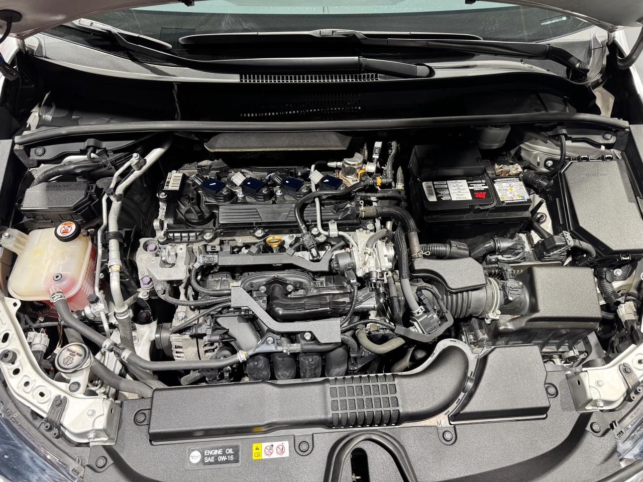 2021 Toyota Corolla SE Photo