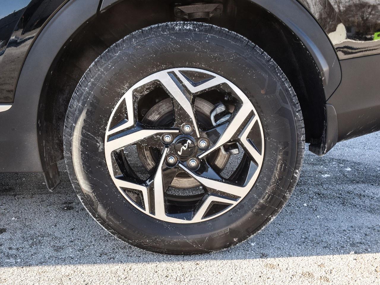 2024 Kia Sportage LX AWD Photo