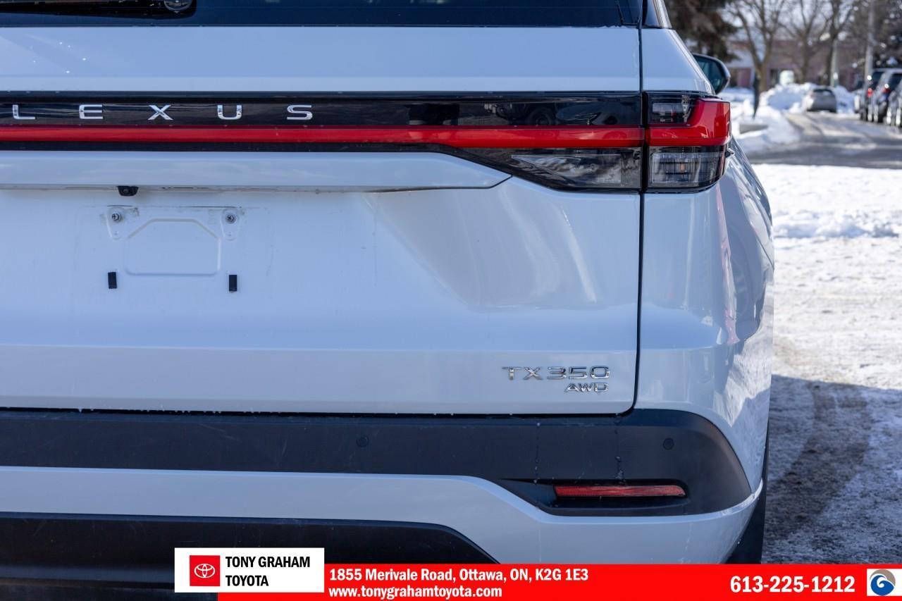 2024 Lexus TX 350  Photo