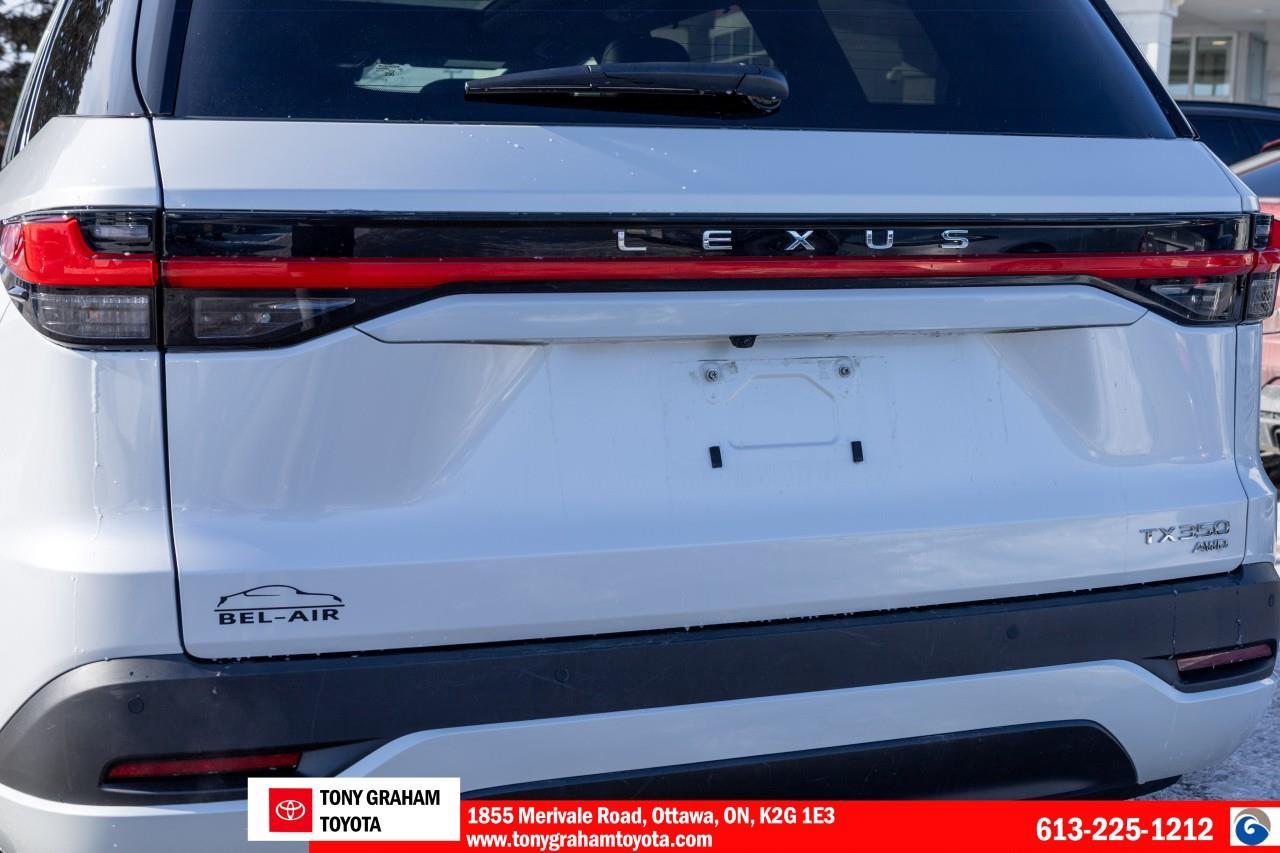 2024 Lexus TX 350  Photo