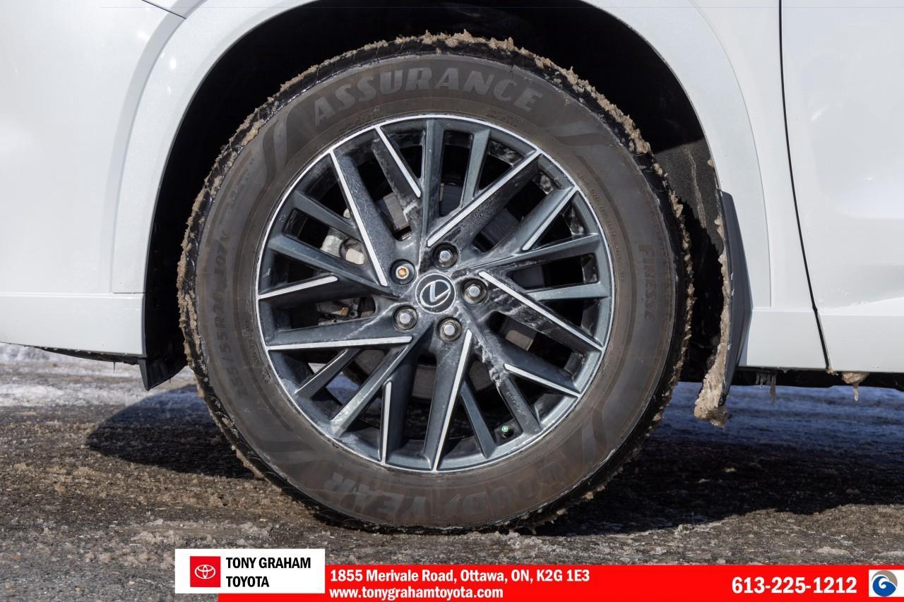 2024 Lexus TX 350  Photo