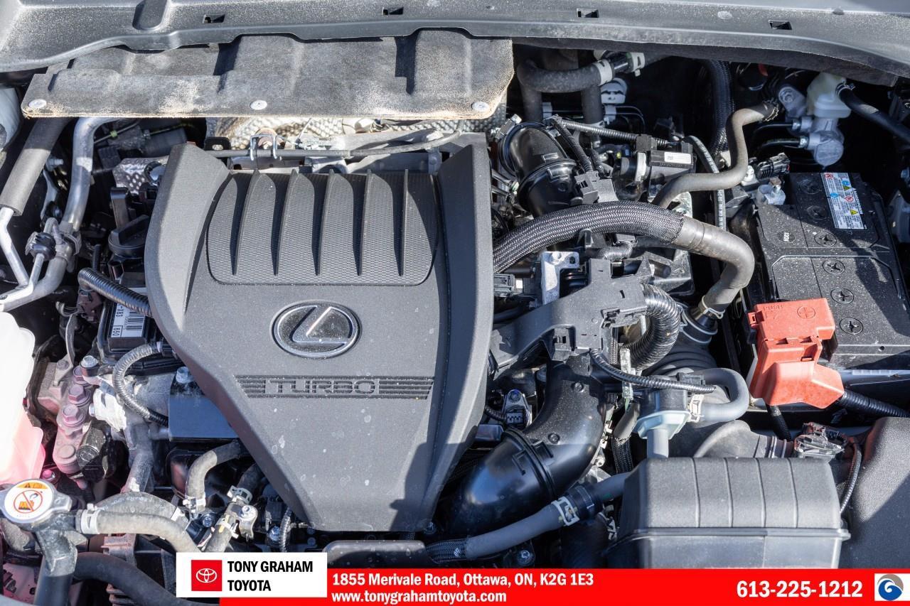 2024 Lexus TX 350  Photo