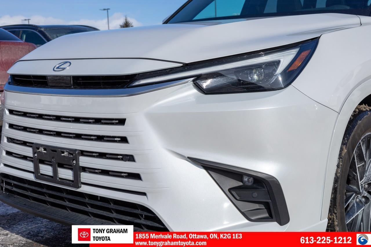 2024 Lexus TX 350  Photo