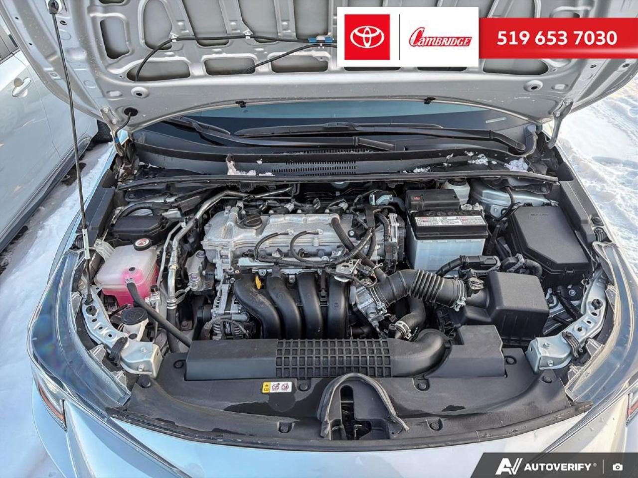 2022 Toyota Corolla LE Photo