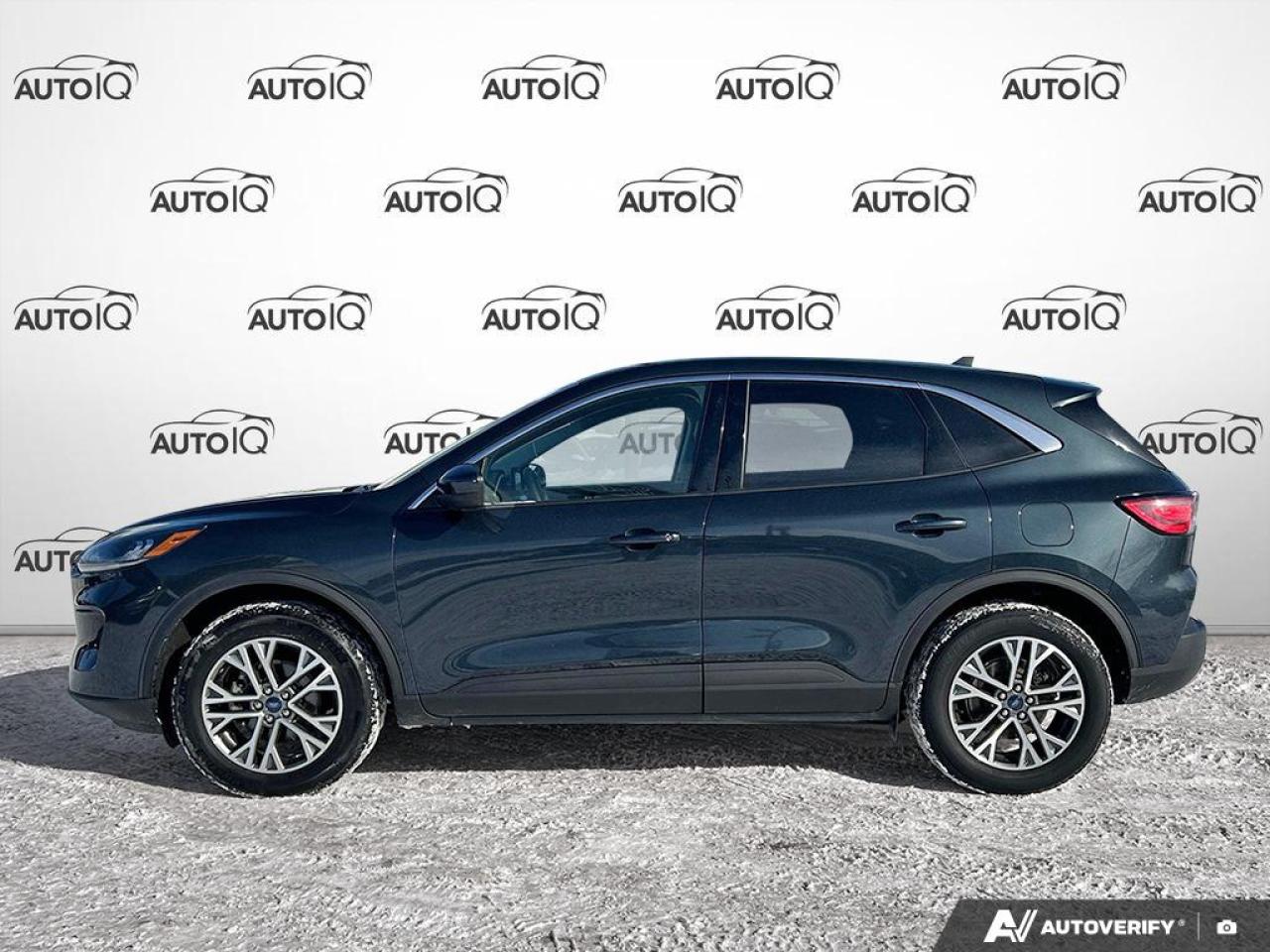 2022 Ford Escape SEL Photo