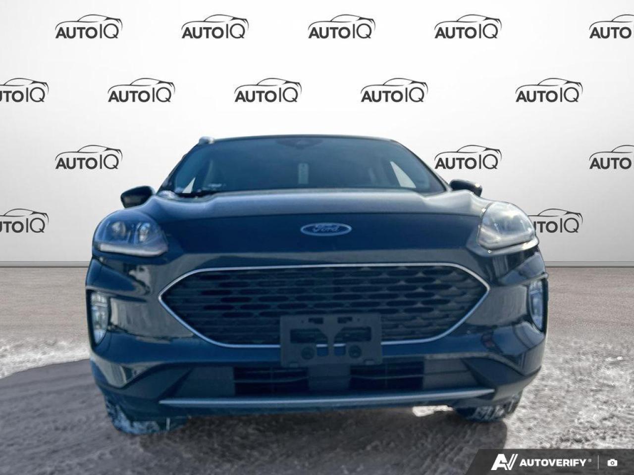 2022 Ford Escape SEL Photo