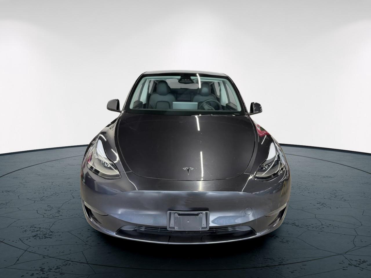2024 Tesla Model Y  Photo4