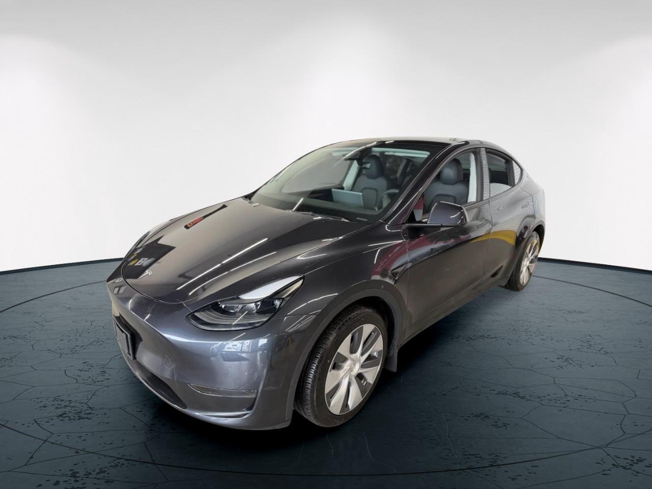 2024 Tesla Model Y  Photo