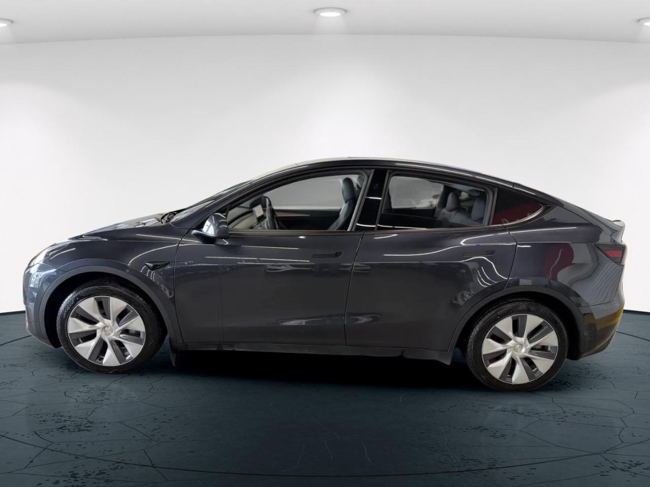 2024 Tesla Model Y  Photo
