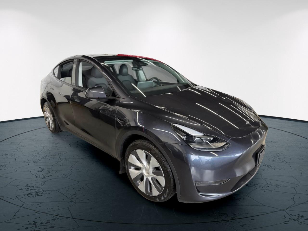2024 Tesla Model Y  Photo