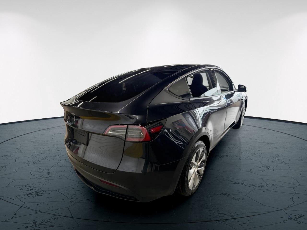 2024 Tesla Model Y  Photo