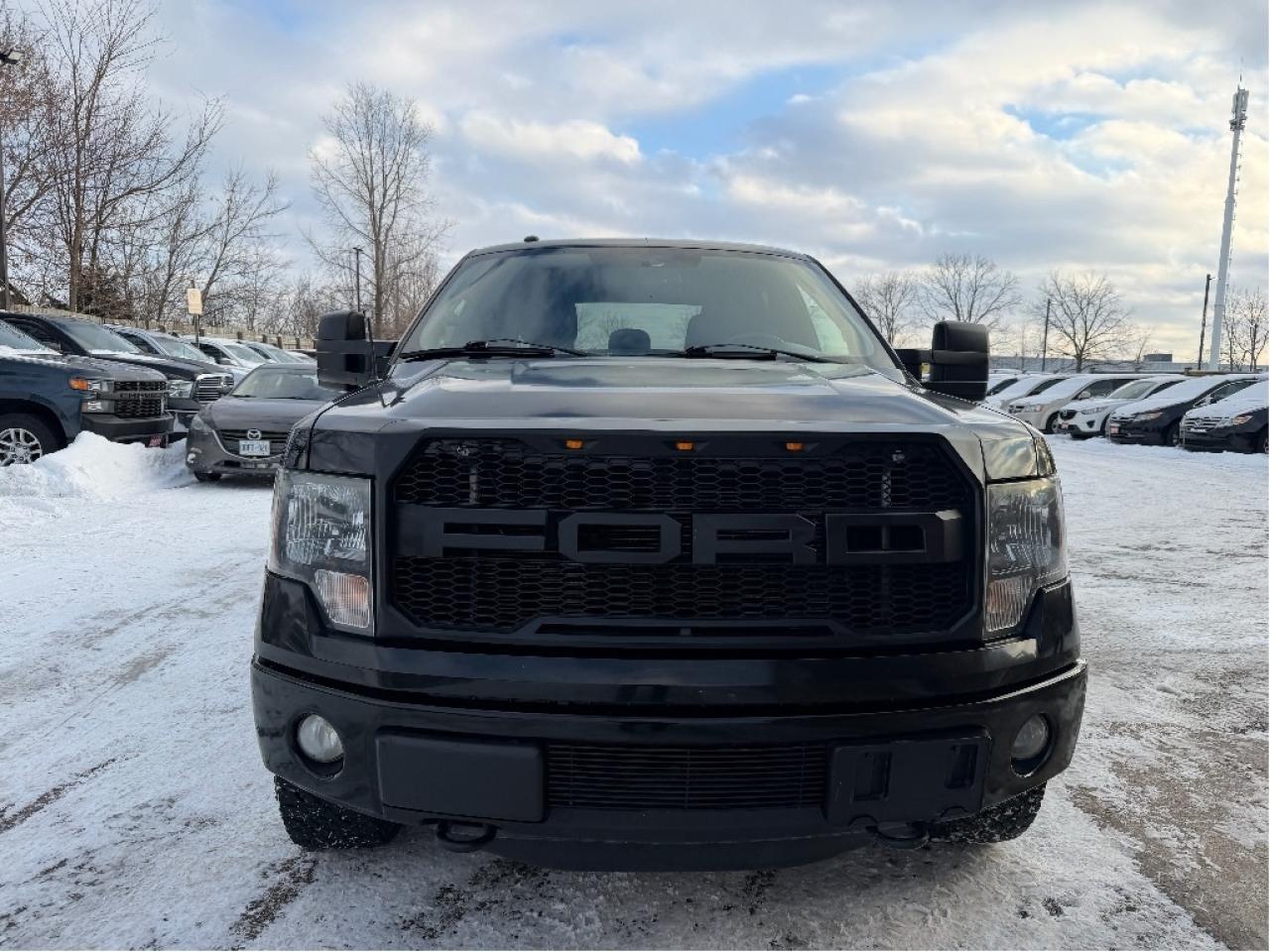 2012 Ford F-150 FX4 | Clean Carfax | Well Maintained Photo