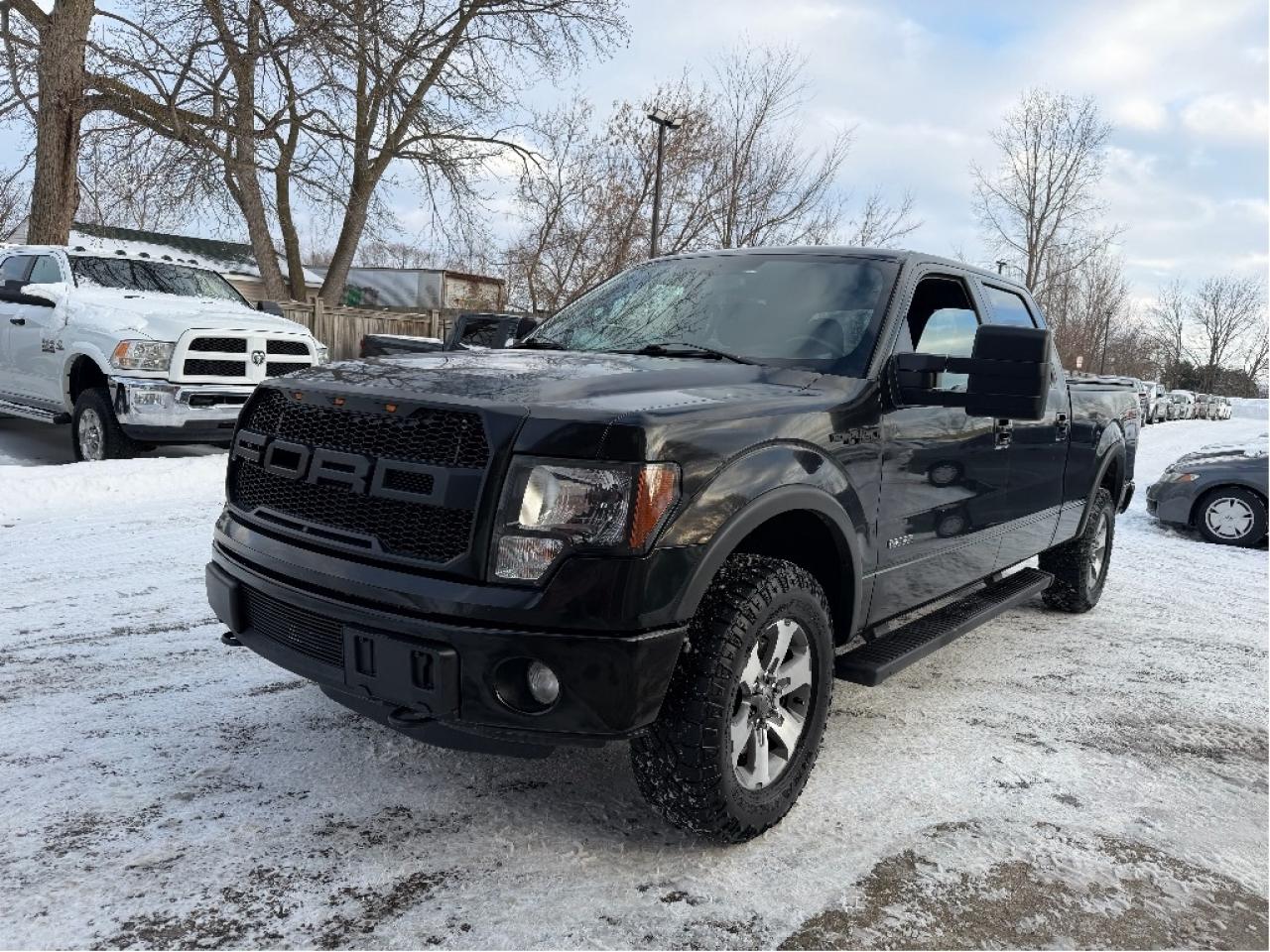 2012 Ford F-150 FX4 | Clean Carfax | Well Maintained Photo