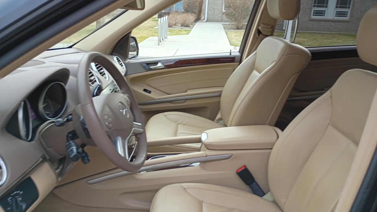 2010 Mercedes-Benz GL-Class GL350 BlueTEC Photo