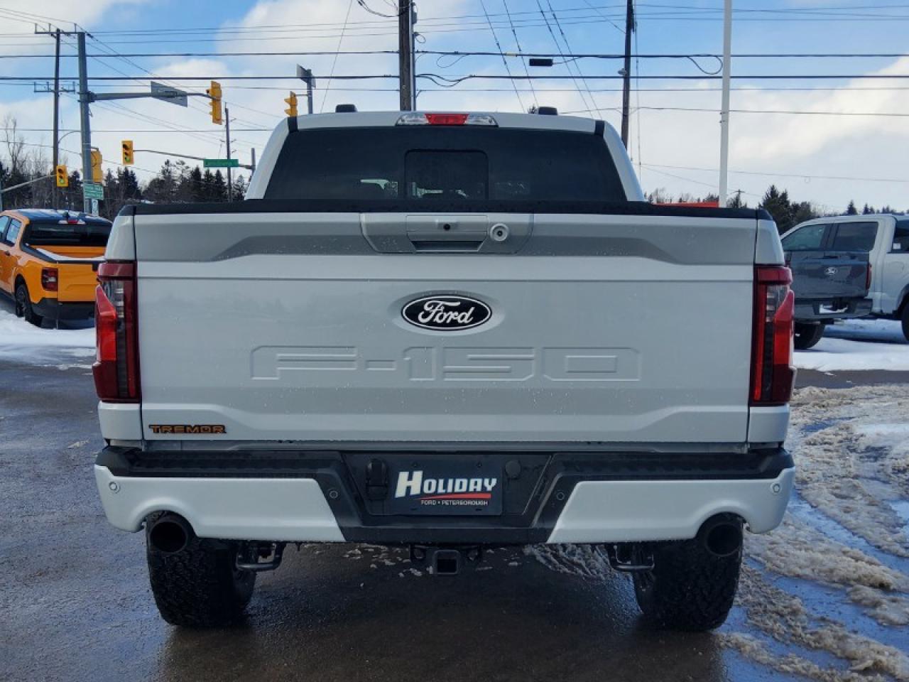 2025 Ford F-150 Tremor Photo4