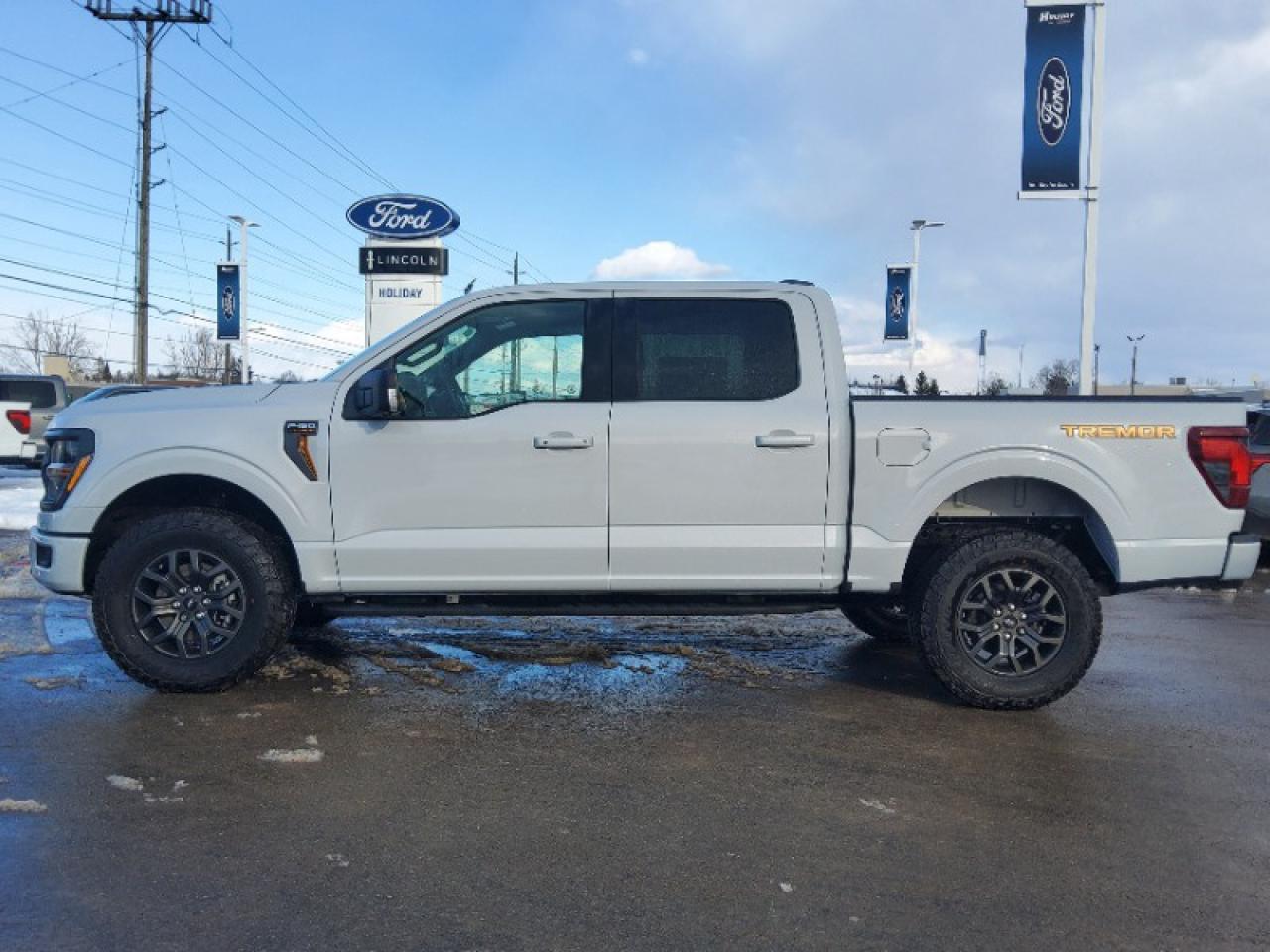 2025 Ford F-150 Tremor Photo