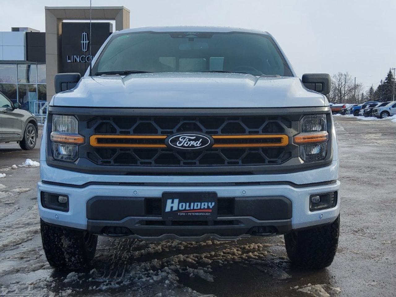 2025 Ford F-150 Tremor Photo