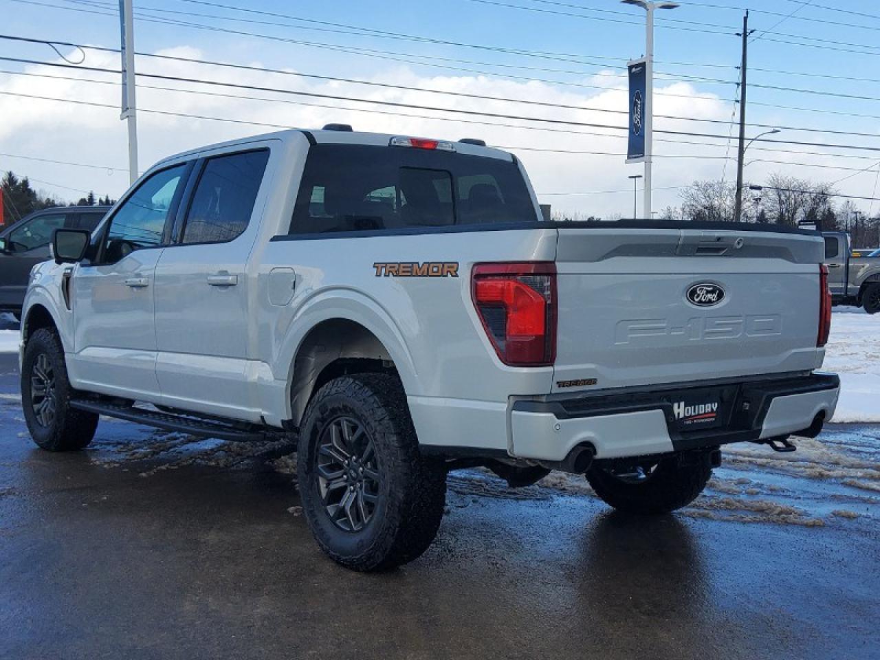 2025 Ford F-150 Tremor Photo