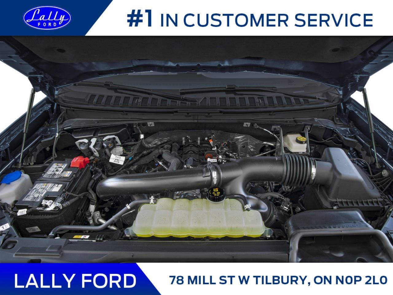 2026 Ford Expedition Platinum 4x4 Photo