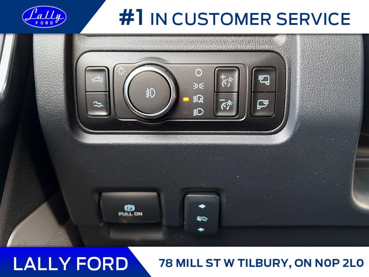 2026 Ford F-250 Super Duty SRW PLATINUM 4WD CREW CAB 6.75' BOX Photo